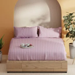 Bianca Laquasa Purple Cotton 144 TC 115 GSM Double Size Bedsheet With 2 Pillow Covers image 1