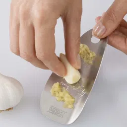 Joseph Joseph Silver Stainless Steel 5.5 cm Garlic & Ginger Grater - Set of 1 image 3