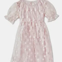 R&B Kids Pink Floral Regular Fit Dress-picture-33