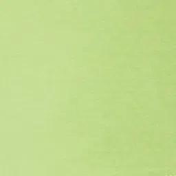 Dollar Missy Multicolor Leggings (Pack of 2) image 5