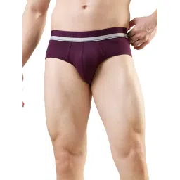 Park Avenue Maroon Cotton Blend Regular Fit Solid Briefs-picture-23