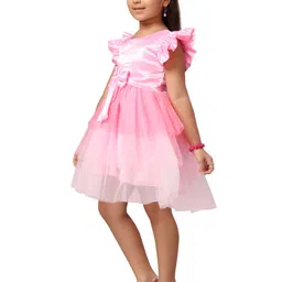 Aarika Girls Pink Net Dress image 2