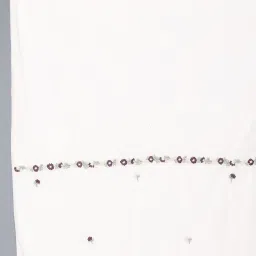 W Beige Mesh Embroidered Dupatta image 4