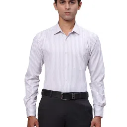 Park Avenue Grey Slim Fit Striped Shirt image 1