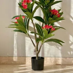 Mason Home Light Pink & Green Pvc Artificial Plant image 1