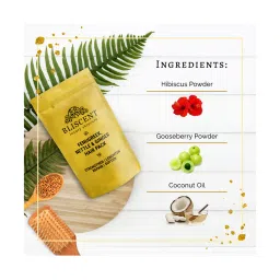 Bliscent Brown Fenugreek, Nettle & Ginger Hair Pack - 100 gm image 3