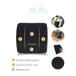 The White Willow Black Back Support Cushion - Set of 1 image 4