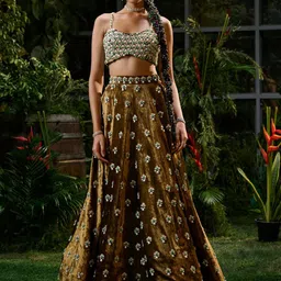 Payal & Zinal Embellished Thread Work Ready to Wear Lehenga-picture-42