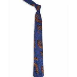 Peter England Blue Textured Tie-image-43