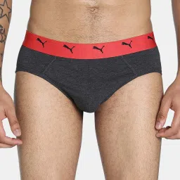 Puma Black & Grey Regular Fit Briefs - Pack of 2 image 5