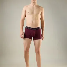 Park Avenue Maroon Nylon Blend Regular Fit Solid Trunks image 4