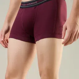 Park Avenue Maroon Nylon Blend Regular Fit Solid Trunks image 3