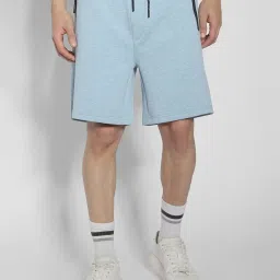 American Eagle Outfitters Blue Regular Fit Shorts image 1