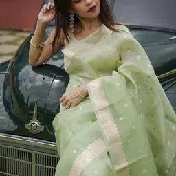 TheWonderWorld Woven Design Zari Linen Blend Handloom Saree image 4