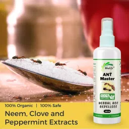 Bhulife 100 ml Fresh Fragrance Ant Repellent and Control Spray image 2