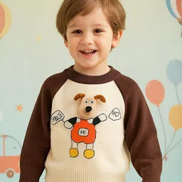 Bold N Elegant Kids Colourblocked Pullover with Detachable Puppy Brooch-picture-26
