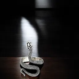 The Roadster Lifestyle Co Stylish Snake Shape Finger Ring-picture-47