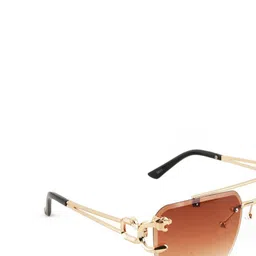 BAYBERRY Unisex Brown Lens & Gold-Toned Square Sunglasses with image 4