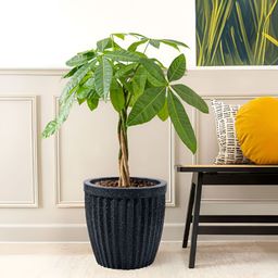 RUBOXA Black Textured UV ProtectedBig Size Flower Pot-picture-27