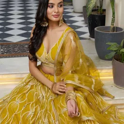 Ethniqlo Embroidered Thread Work Semi-Stitched Lehenga & Blouse With Dupatta image 2