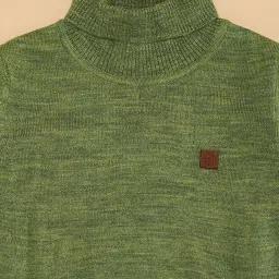 Pantaloons Junior Boys Forest Shade Self Full Sleeves Sweaters & Cardigans image 2