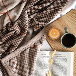 MYTRIDENT Home Essential Imperial Flannel Printed & Checked Mild Winter 300 GSM Blanket image 5