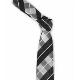 Louis Philippe Grey Printed Tie-picture-15