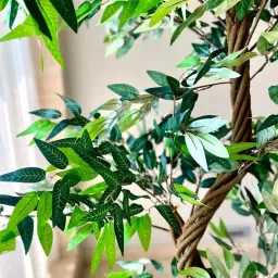 Mason Home Green Plastic Artificial Twisted Ficus Tree - 6.5 Feet image 2