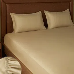 LIVSPACE Paleto Beige Pure Cotton 144 TC Fitted Double King Bedsheet Set-1.98 m X 1.82 m-image-19