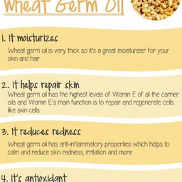 Park Daniel Set Of 2 Pure Natural & Organic Wheat Germ Oil & Castor Oil - 100 ml Each image 2