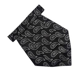 VOICI Men Woven Design Cravat-picture-44