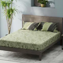 Bianca Denim Feel Green 192 TC 150 GSM Double Fitted Bedsheet & Comforter With 2 Pillow Covers image 2