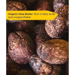 L'Occitane Shea Butter Light Comforting Face Cream - 50 ml image 2