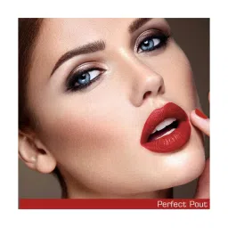 NEUD Matte Liquid Lipstick Perfect Pout with Free Lip Gloss image 5