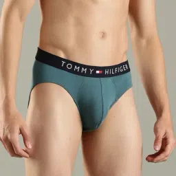 Tommy Hilfiger Multicoloured Cotton Briefs - Pack Of 3 image 5