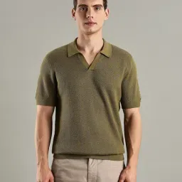 TOMMY HILFIGER Green Regular Fit Solid Polo T-Shirt-image-86