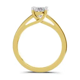 Sparkles Lab Grown Diamond 14k (585) Yellow Gold Ring for Women image 3
