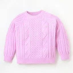 cherry crumble by nitt hyman Cherry Crumble Full Sleeves Woven Design Detailed Sweater - Lavender-picture-25