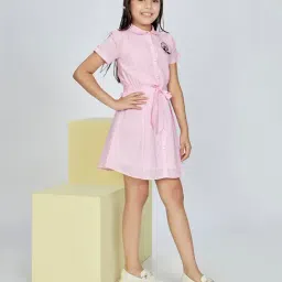 Peppermint Girls Pink Cotton Regular Fit Striped Dress-image-59