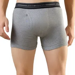 Park Avenue Grey Pure Cotton Regular Fit Solid Trunks (Pack of 2)-picture-31