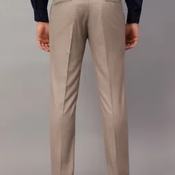 Cantabil Beige Regular Fit Texture Trousers image 2