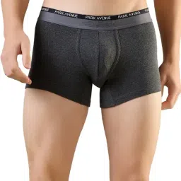 Park Avenue Grey Cotton Blend Regular Fit Solid Trunks-image-86