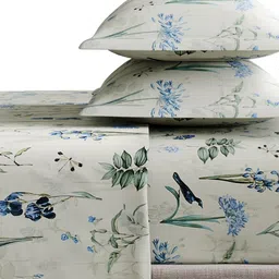 haus & kinder Green & Blue Floral 210 TC King Bedsheet with 2 Pillow Covers image 4