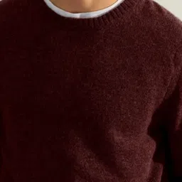 Trendyol Men Woollen Raw Edge T-shirt image 2