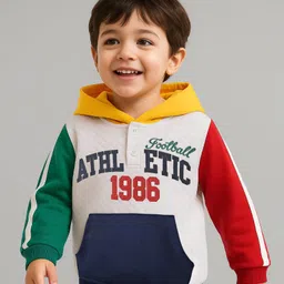 Babyhug Cotton Knit Full Sleeves Hooded Sweatshirt With Text Embroidery & Kangaroo Pockets - Multicolor-picture-26