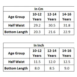 Plan B Flower Printed Reusable Pad Free Period Panty For Heavy Flow - Red image 2