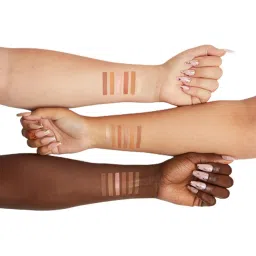 BH Cosmetics Nude Ego In The Buff All-in-One Face Palette Light To Medium - 15 gm image 5