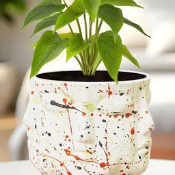 LASAKI Vivan White & Red Printed Ceramic Handmade Planter With Plate image 5