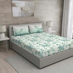 GM Green & Beige 100% Cotton 144 TC Queen Bedsheet Set-picture-23