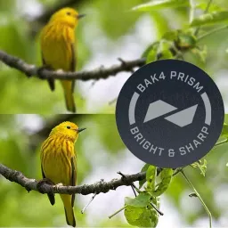 Bushnell 8x42 mm Engage Binocular (Matte Black) image 5